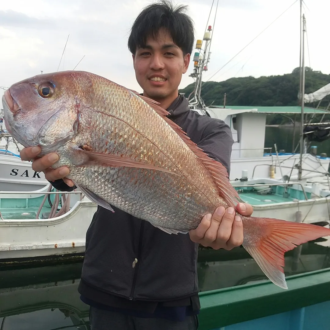 IMG_20220809_202547_724