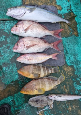 PXL_20231211_071521133.MP