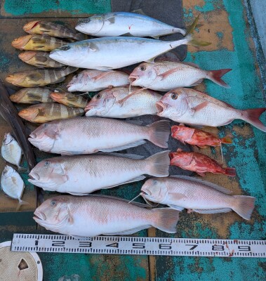 PXL_20251228_080955017